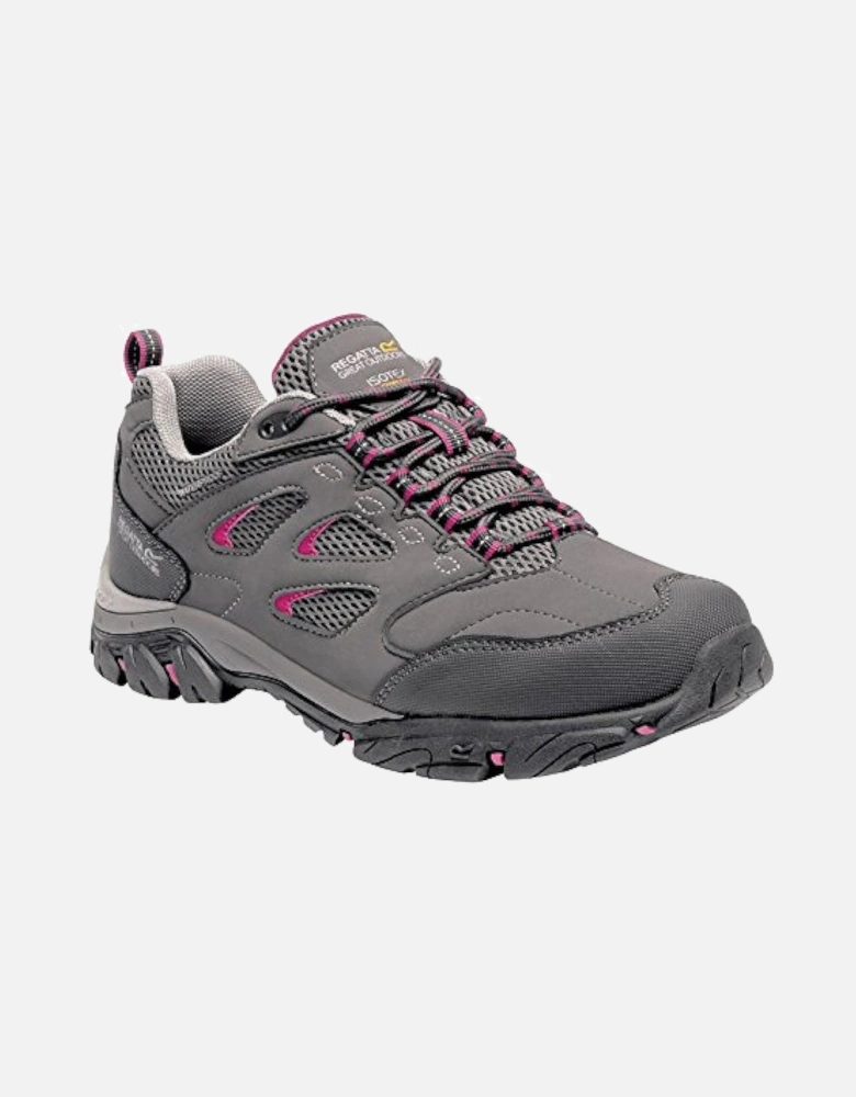 Womens/Ladies Holcombe IEP Low Hiking Boots