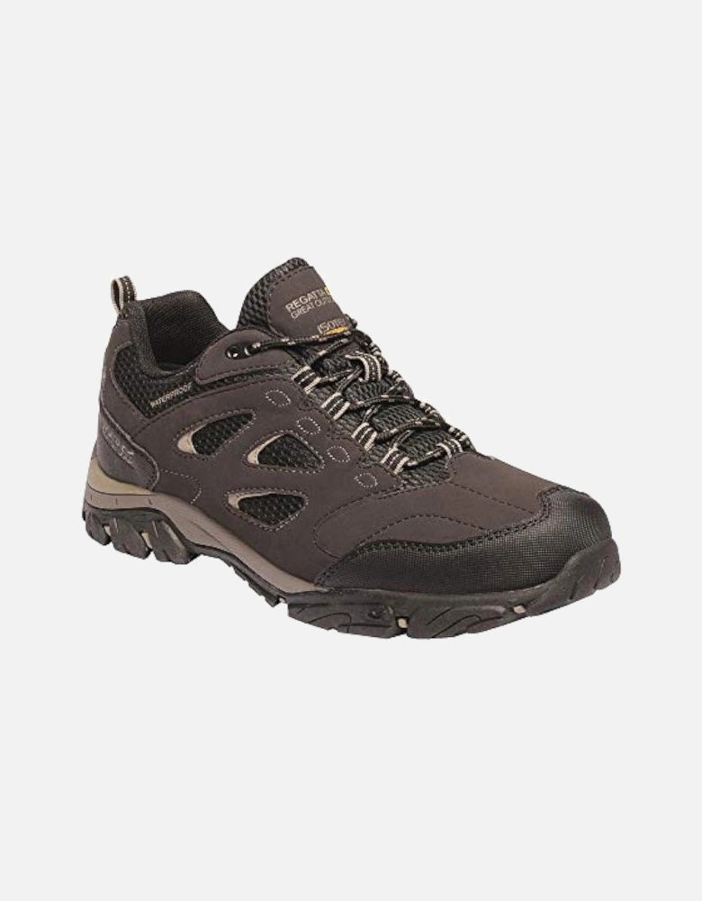 Mens Holcombe IEP Low Hiking Boots