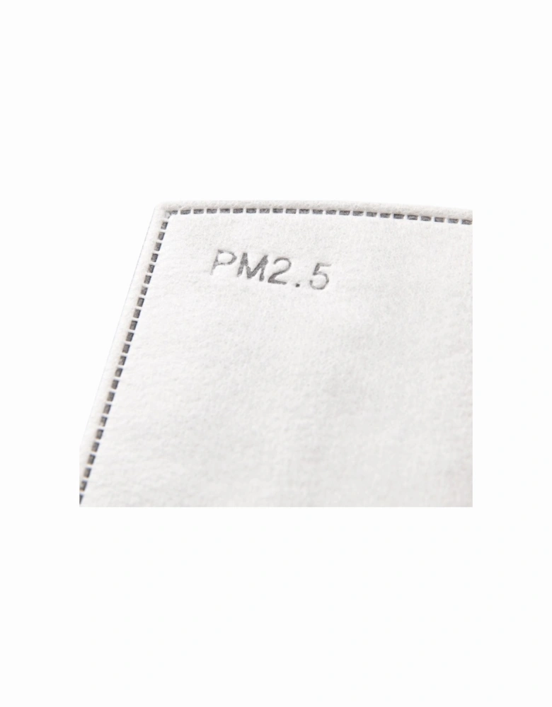 PM2.5 Face Mask Filters (Pack of 3)