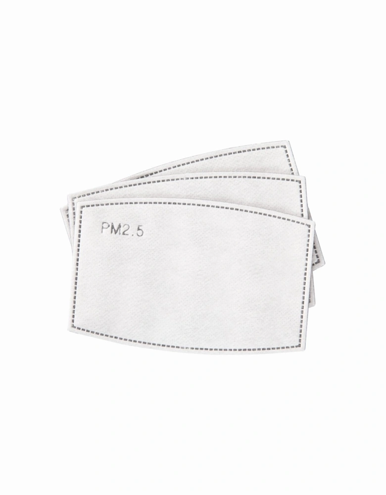 PM2.5 Face Mask Filters (Pack of 3)