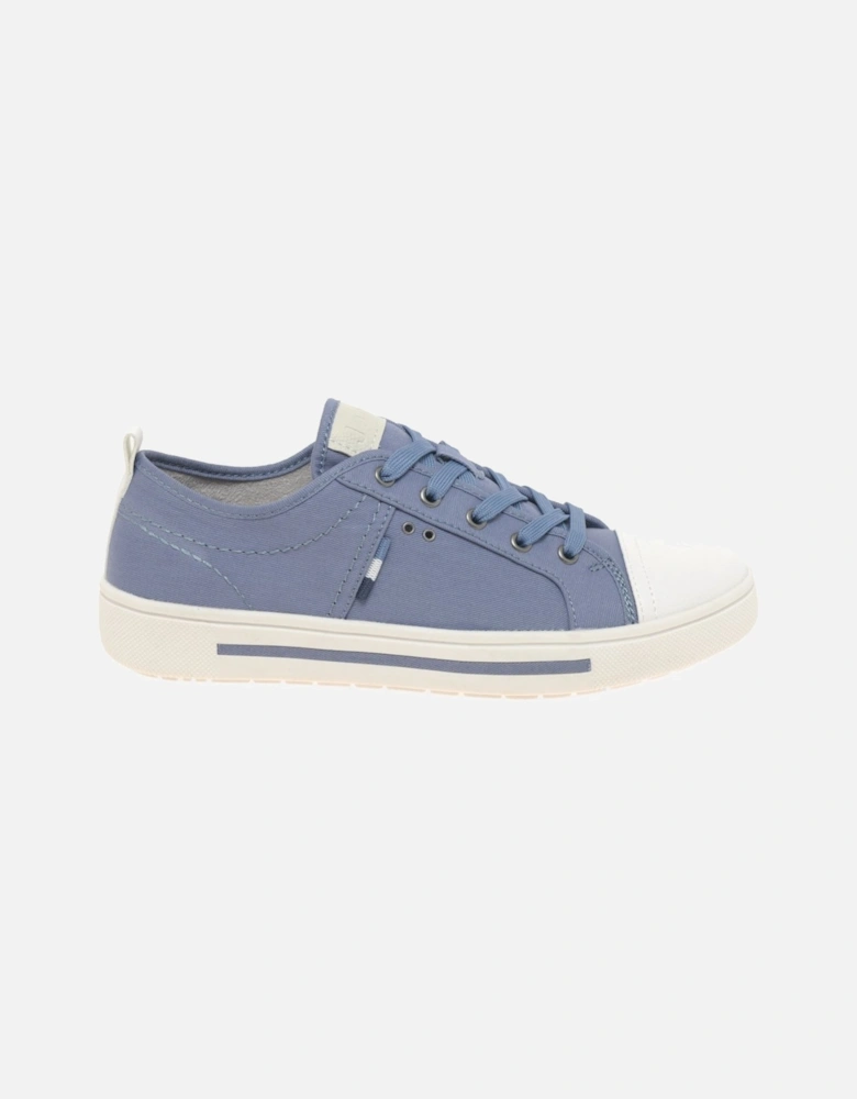 Contract Womens Canvas Trainers