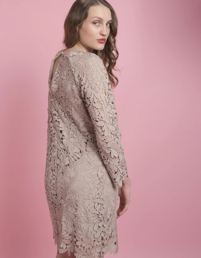 Mocha Vintage Inspired Lace Dress