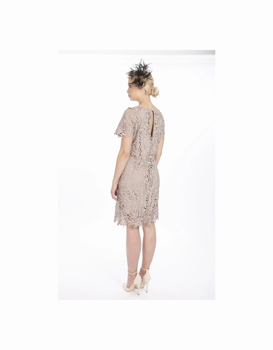 Mocha Vintage Lace Dress