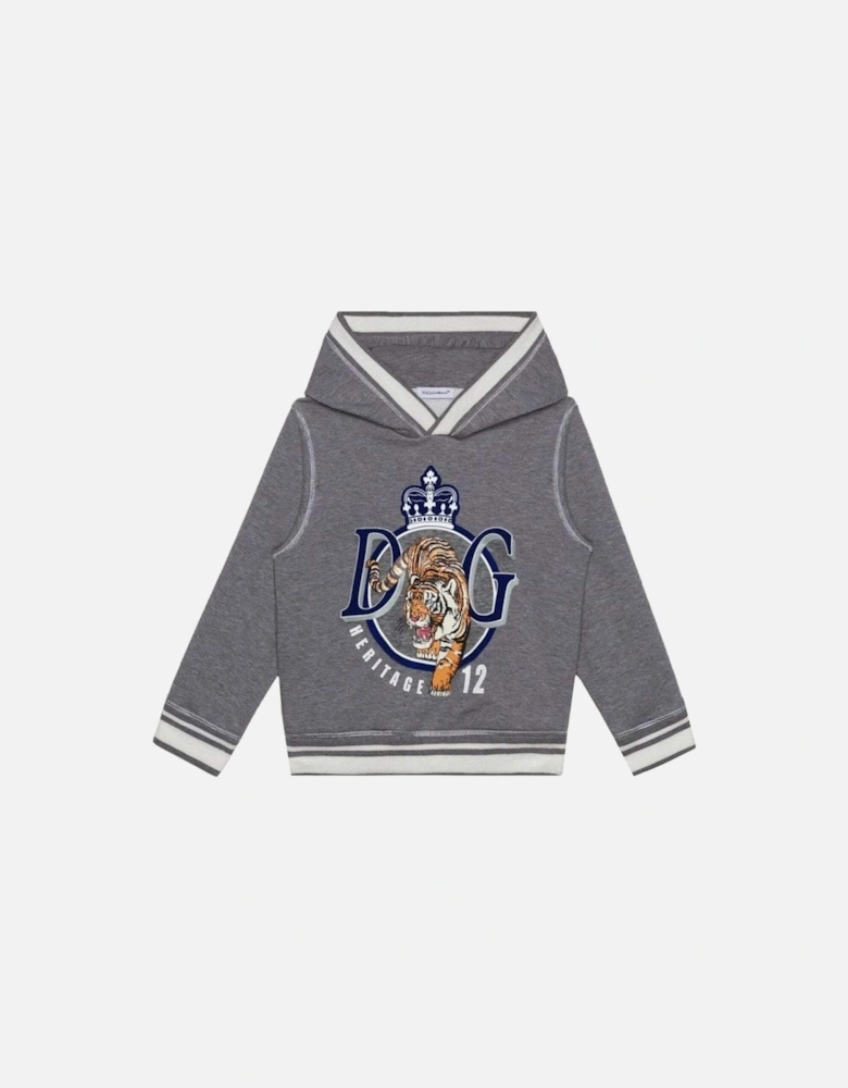 Boys Tiger Sweatshirt Grey