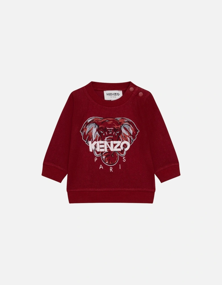 Baby Boys Elephant Print Sweater Red