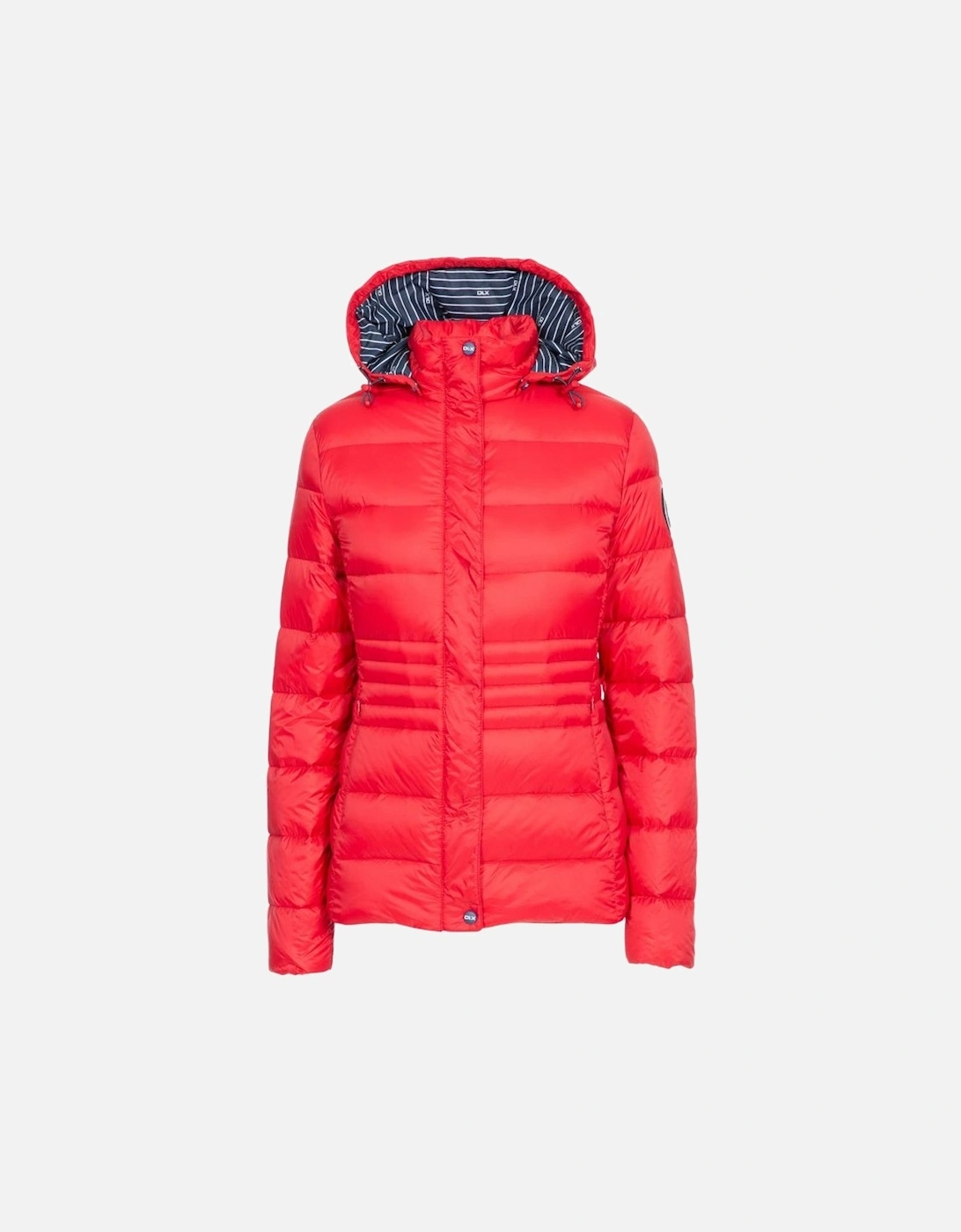 Womens/Ladies Hayling Down Jacket, 5 of 4