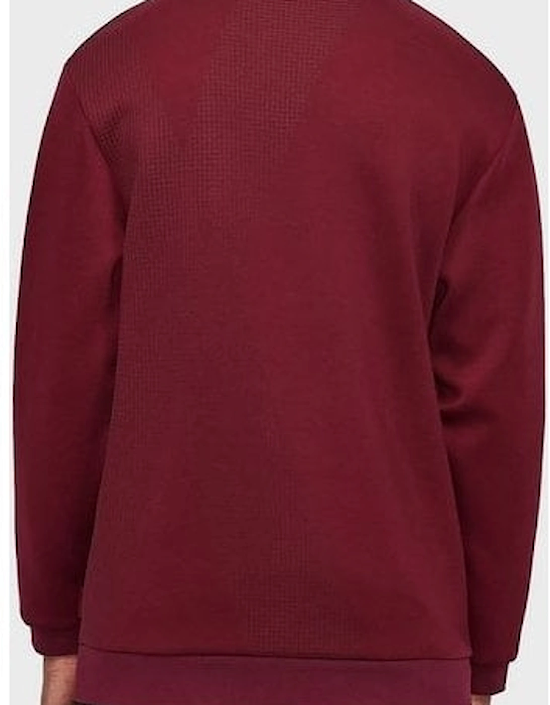 Cotton Printed Logo Burgundy Sweatshirt