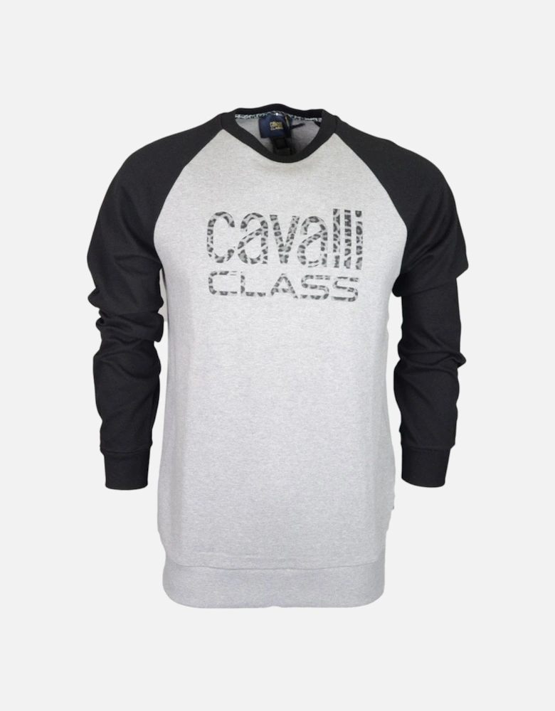 Cotton Printed Logo Grey/Black Sweatshirt