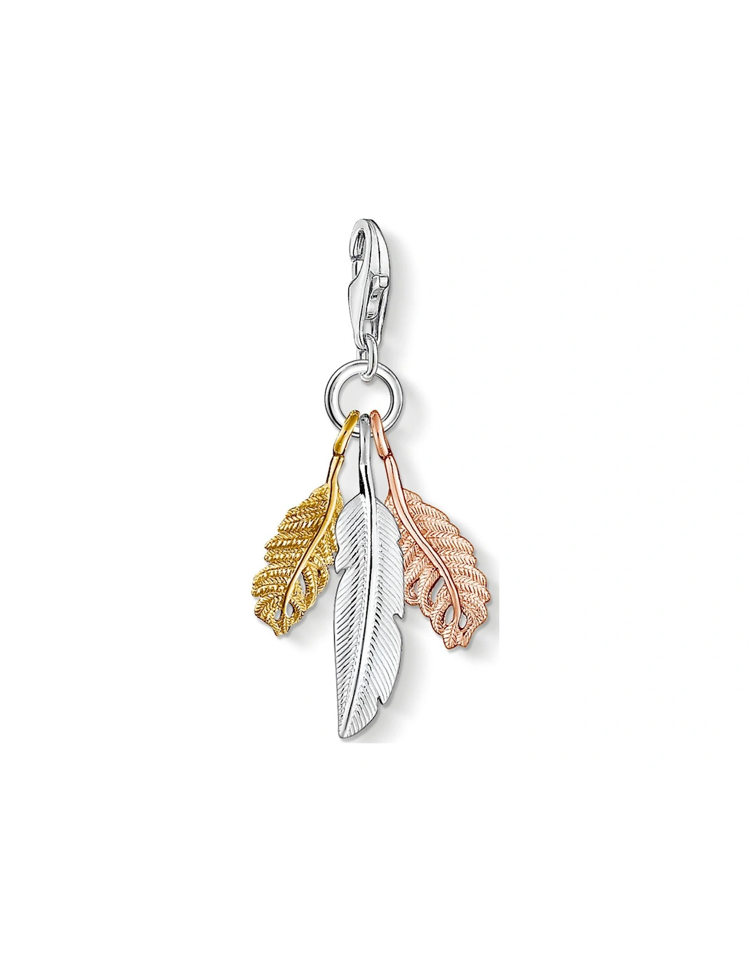 Charm Pendant Feathers, 2 of 1