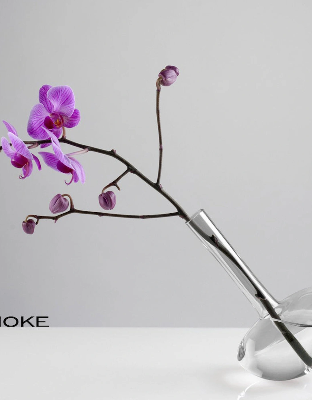 Rokos - Gauge Vase 22