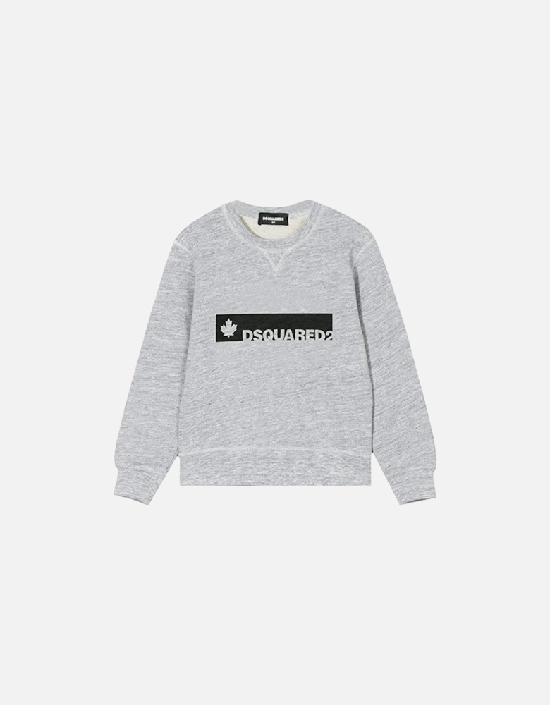 Boys Printed Logo Sweater Grey