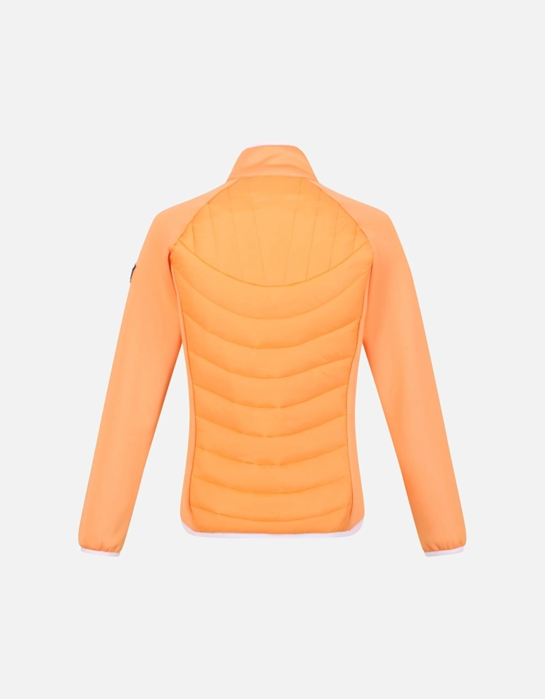 Womens/Ladies Clumber II Hybrid Insulated Jacket