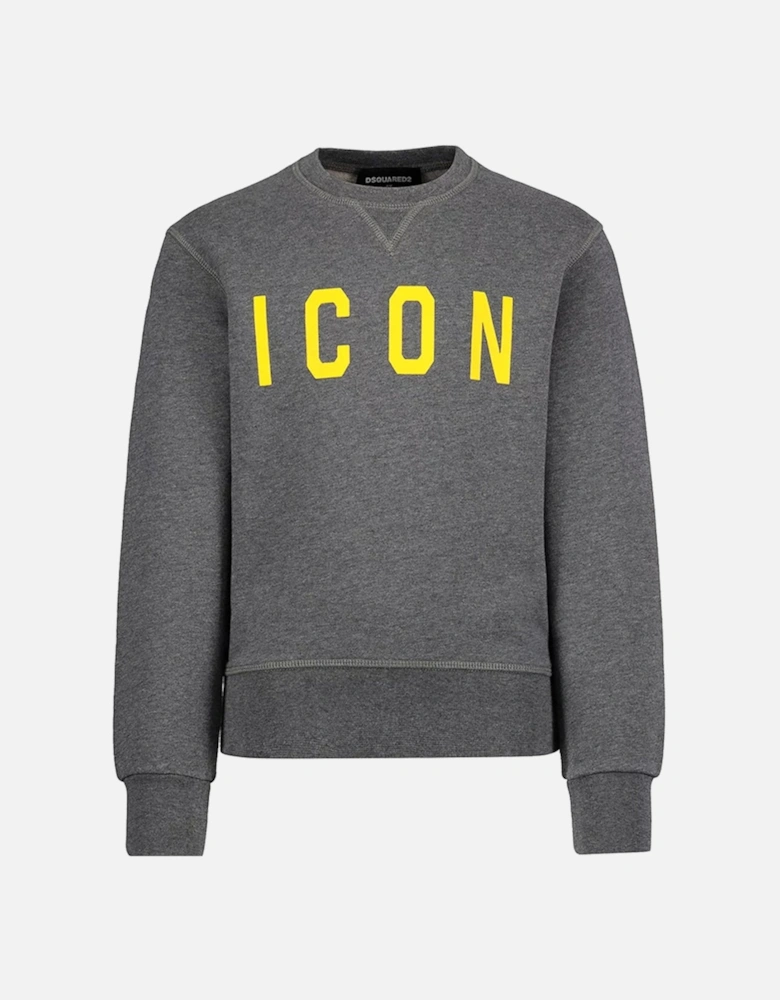 Boys Icon Sweater Grey