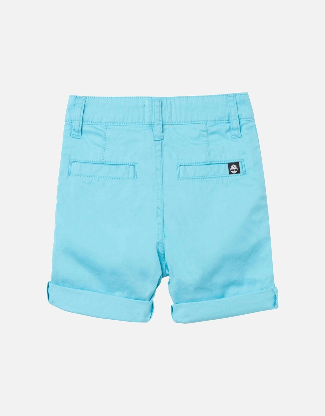 Aqua Shorts