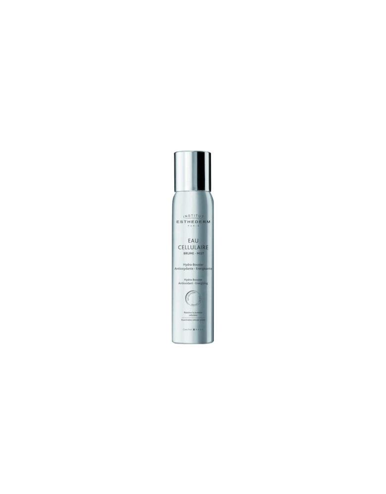 Cellular Water Antioxidant Face Mist 100ml