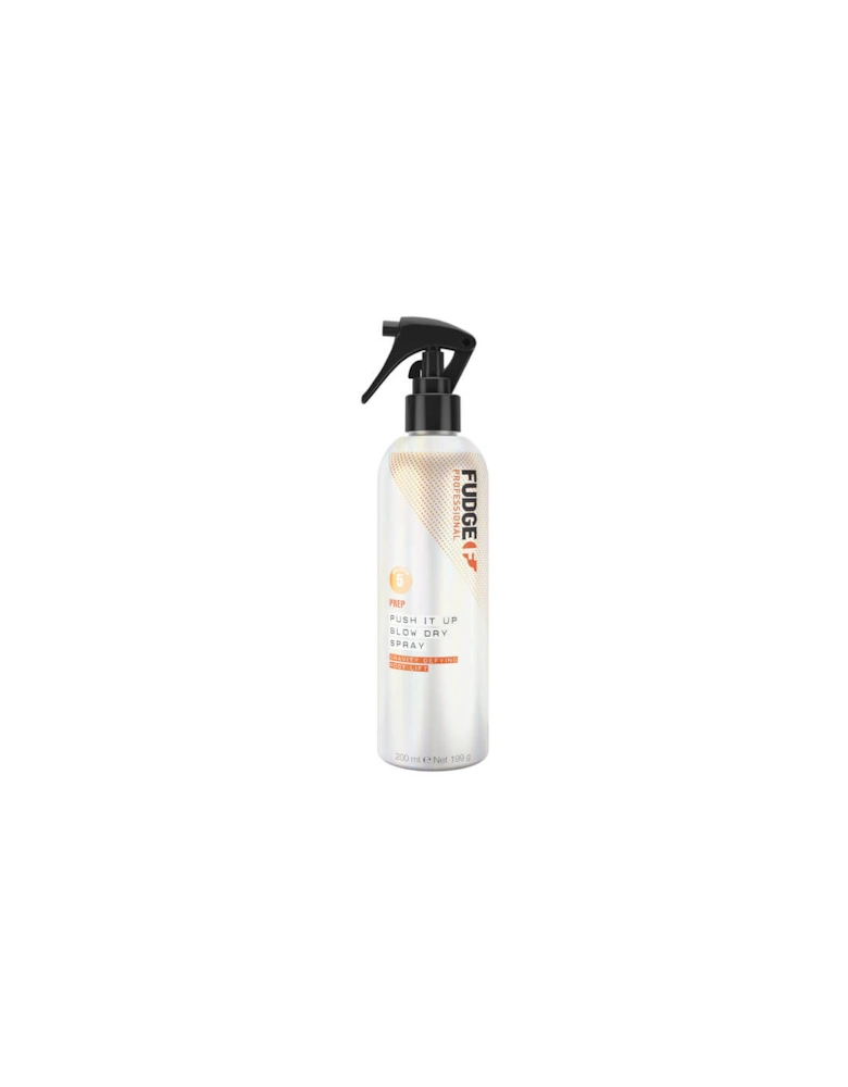 Professional Styling Push-it-up Blow Dry Spray 200ml