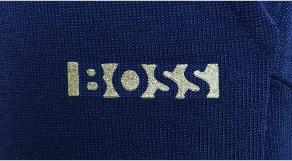 Boy's Navy Shorts With Gold Logo