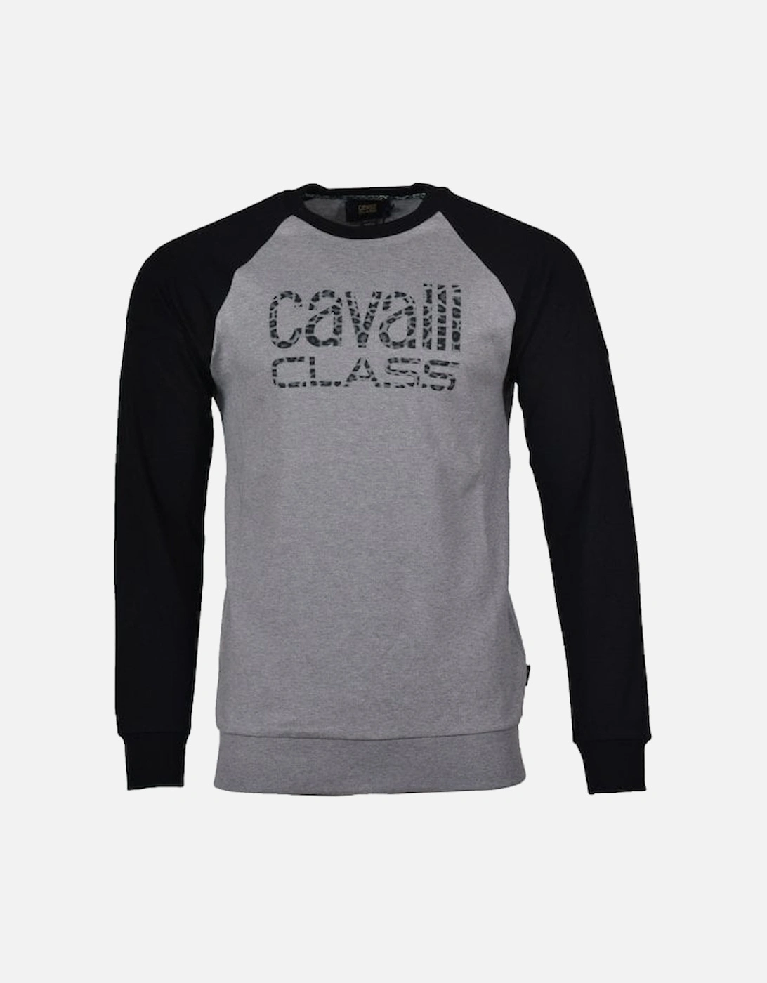 Cavalli Class Leopard Print Logo Sweatshirt Grey, 3 of 2