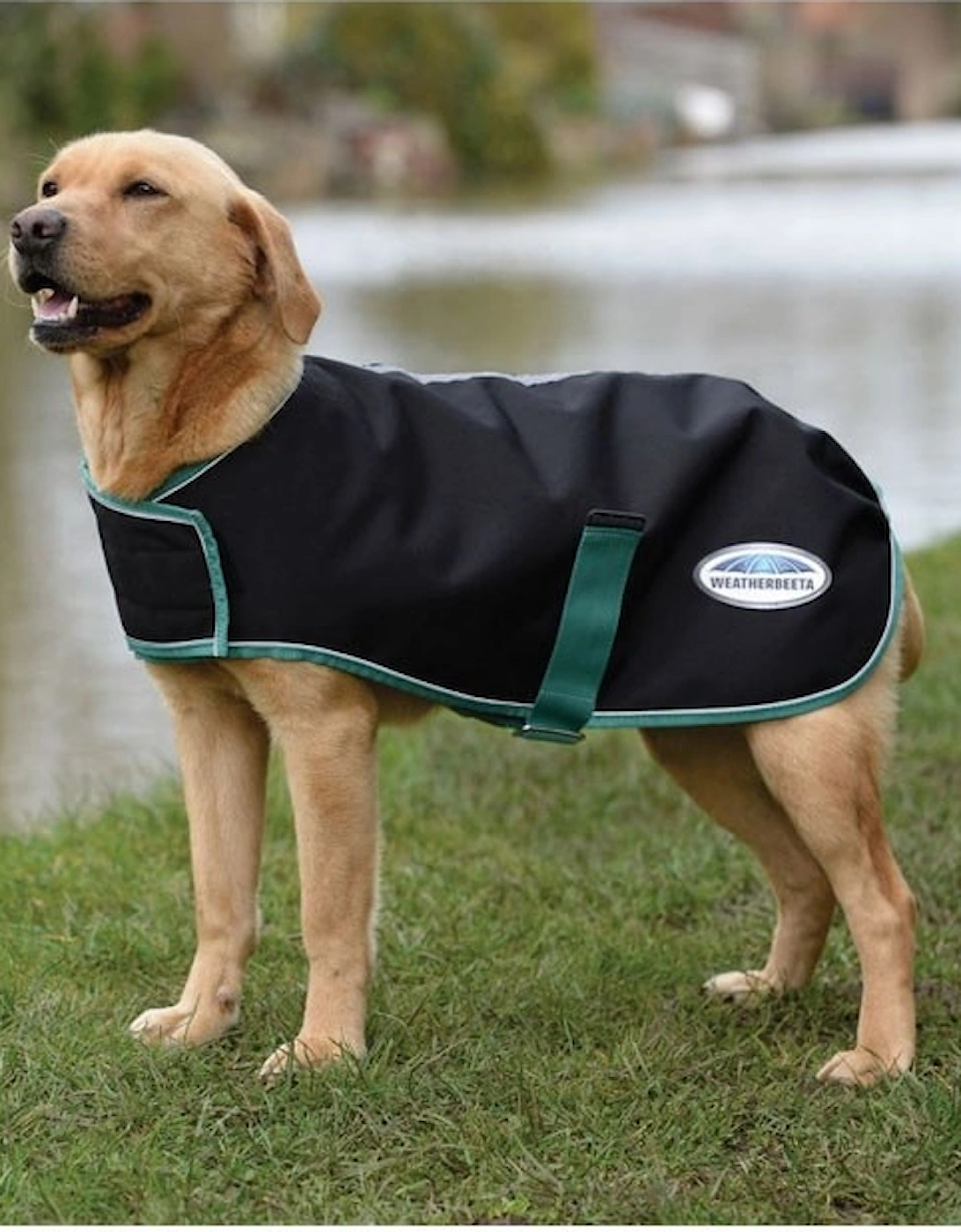 Green-Tec 900D Dog Coat Medium, 5 of 4