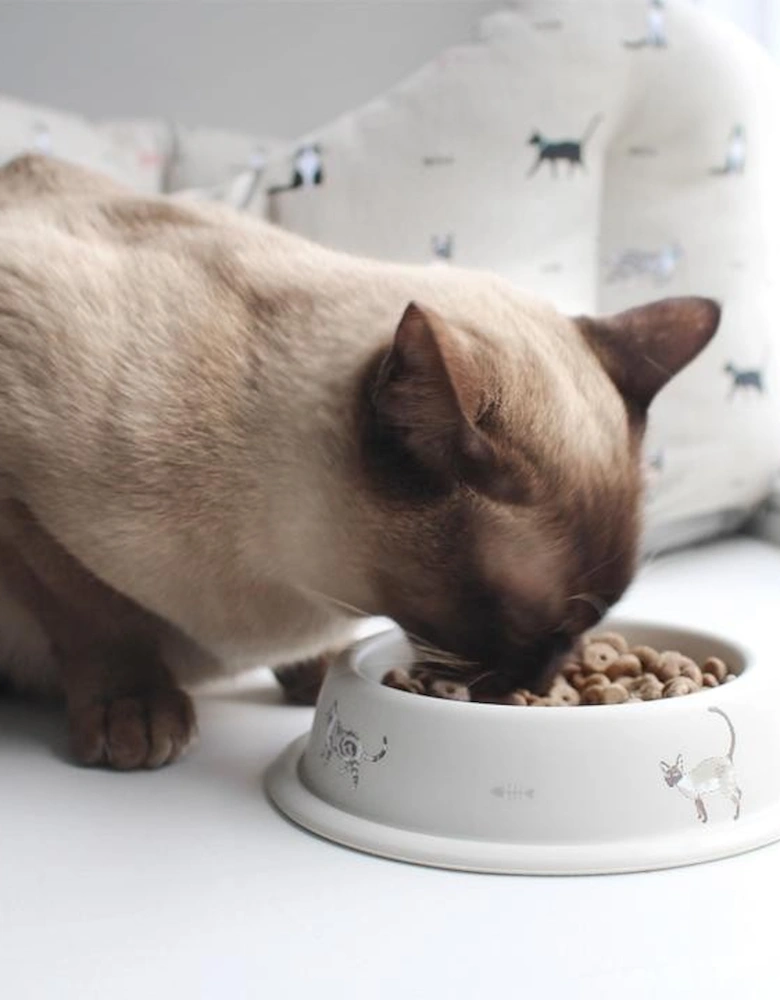 Purrfect! Cat Bowl