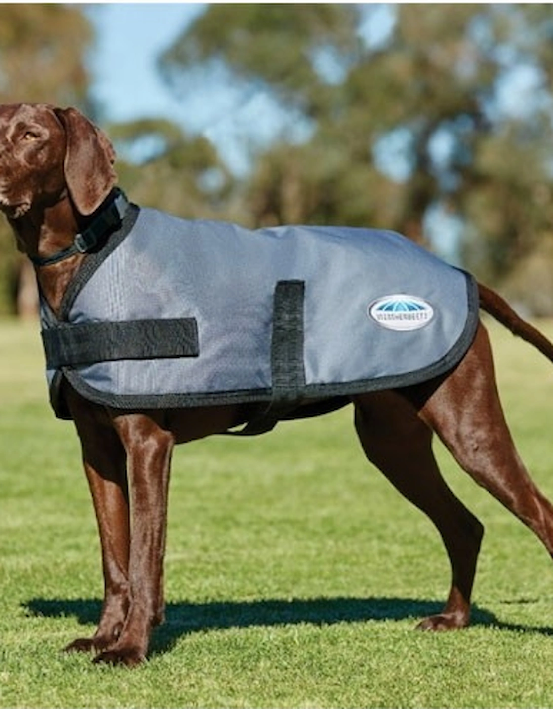 Comfitec Classic Parka Dog Coat Grey, 2 of 1