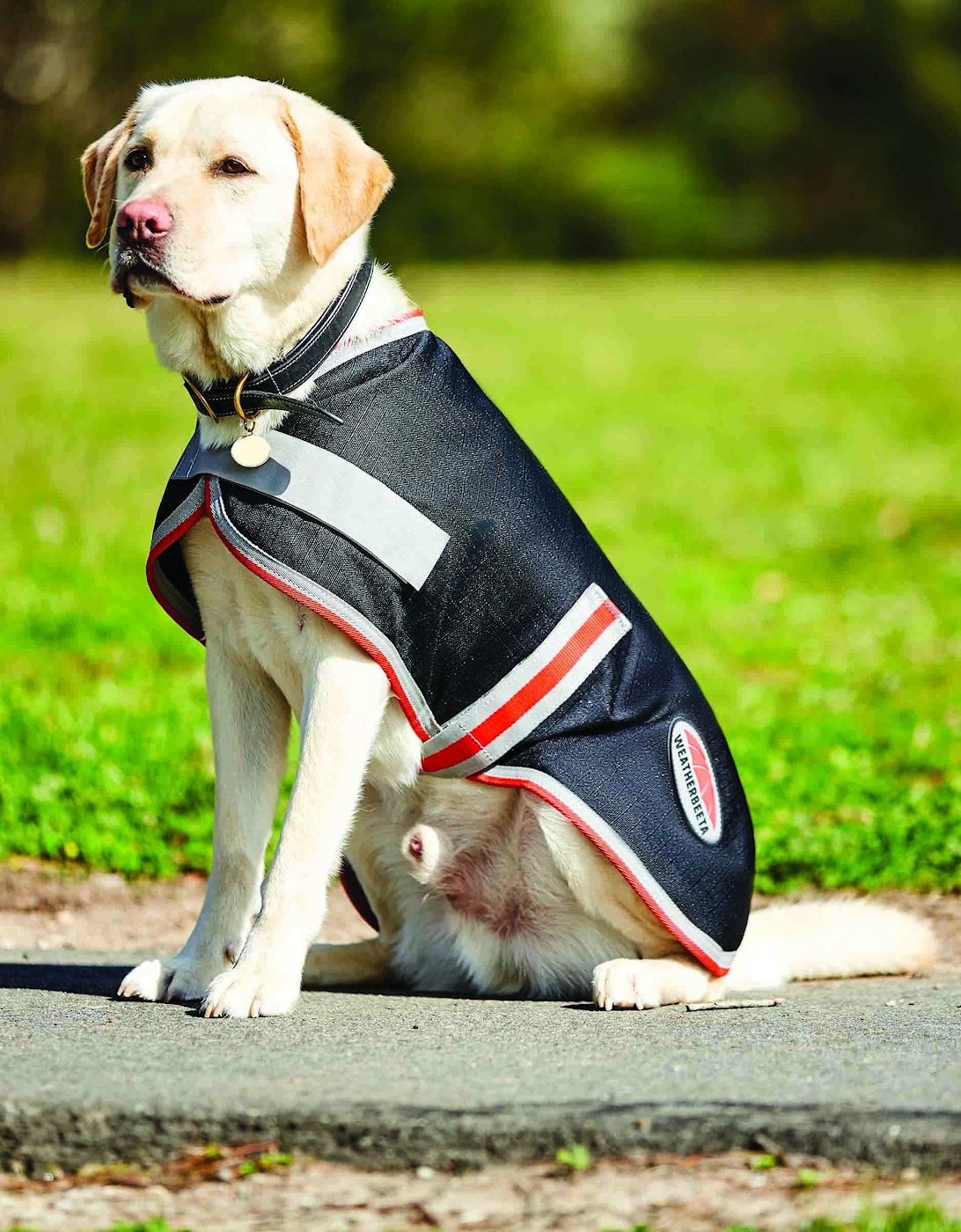 Comfitec Therapy-Tec Dog Coat, 7 of 6
