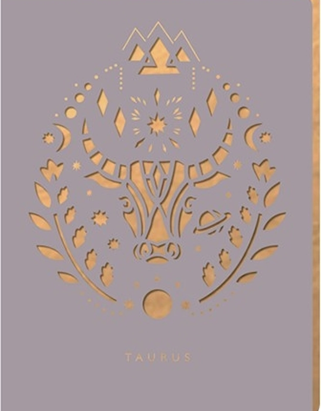 Taurus A6 Notebook, 3 of 2