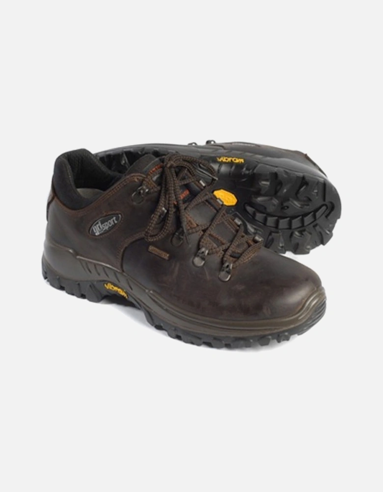 Dartmoor Walking Shoe Brown