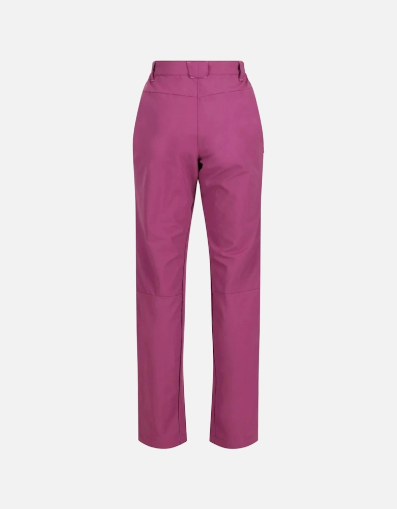 Womens/Ladies Questra IV Stretch Hiking Trousers