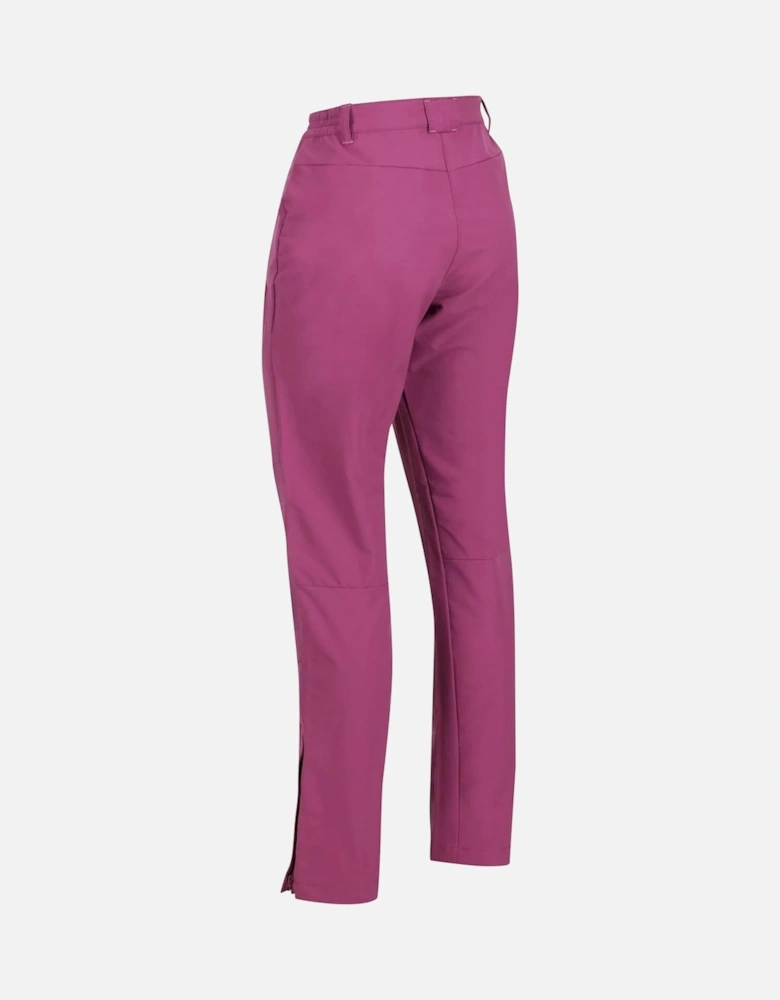 Womens/Ladies Questra IV Stretch Hiking Trousers