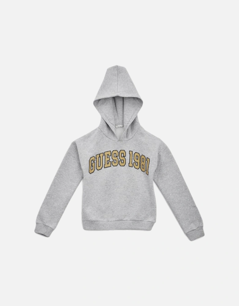 KIDS-GIRLS SPARKLING DIAMANTES LOGO HOODIE GREY