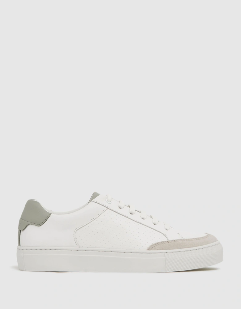 Low Top Leather Trainers