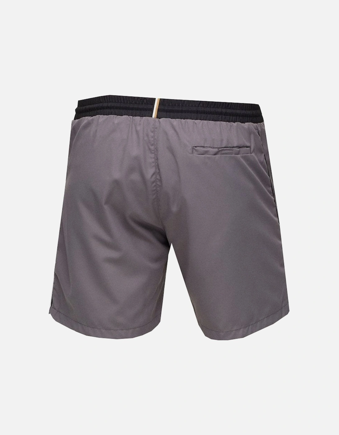 Men's Grey Starfish Swim Shorts
