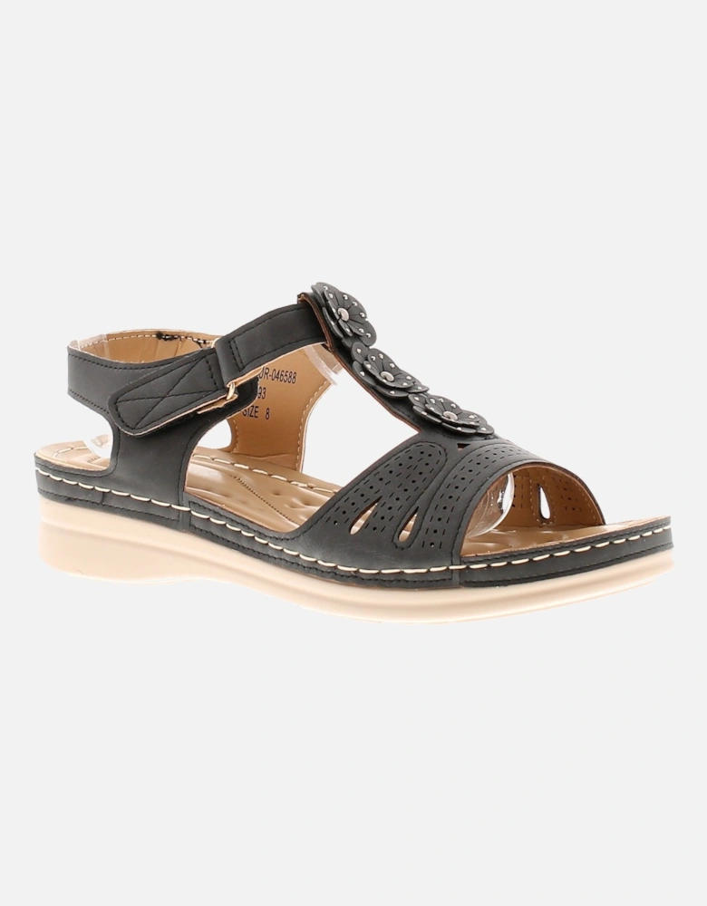 Womens Flat Sandals Daisy Touch Fastening black UK Size