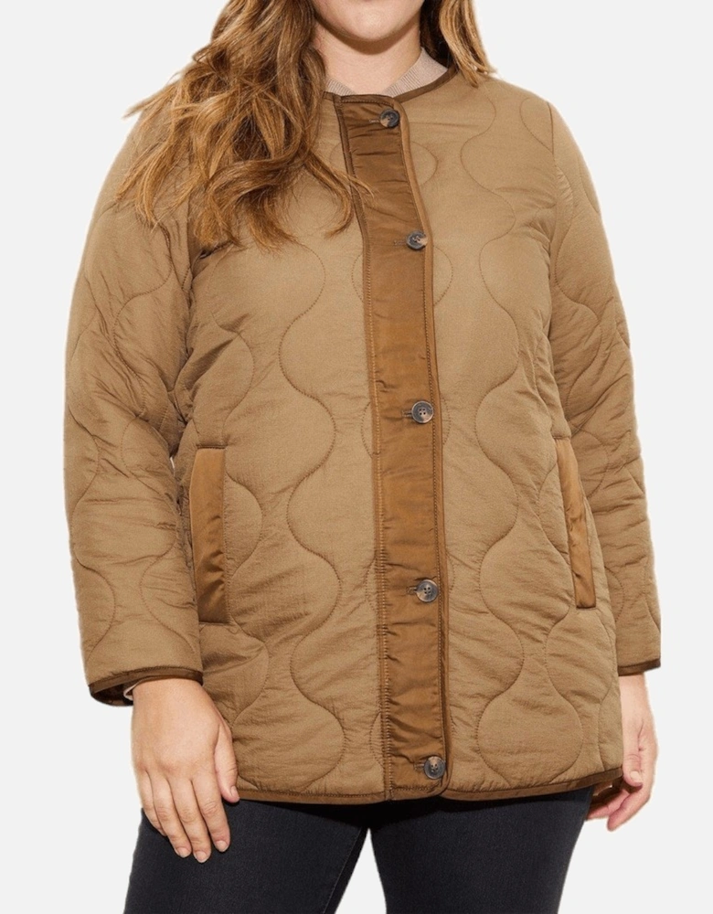 Womens/Ladies Contrast Collarless Plus Padded Jacket