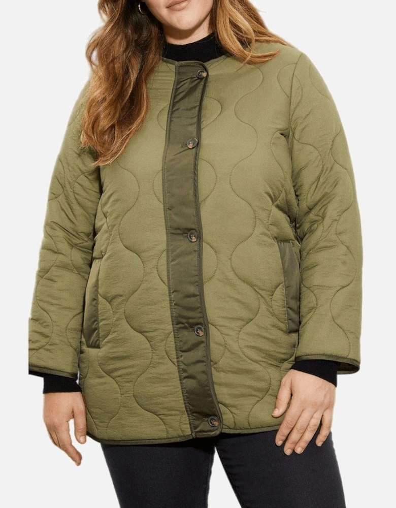 Womens/Ladies Contrast Collarless Plus Padded Jacket