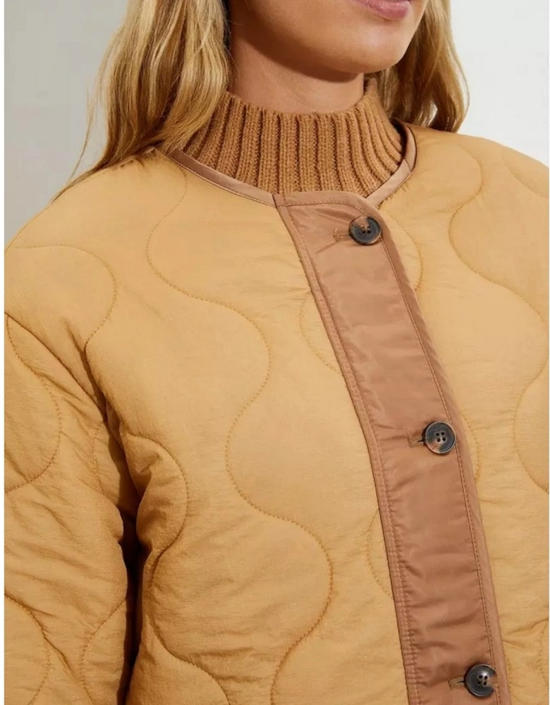 Womens/Ladies Contrast Collarless Padded Jacket