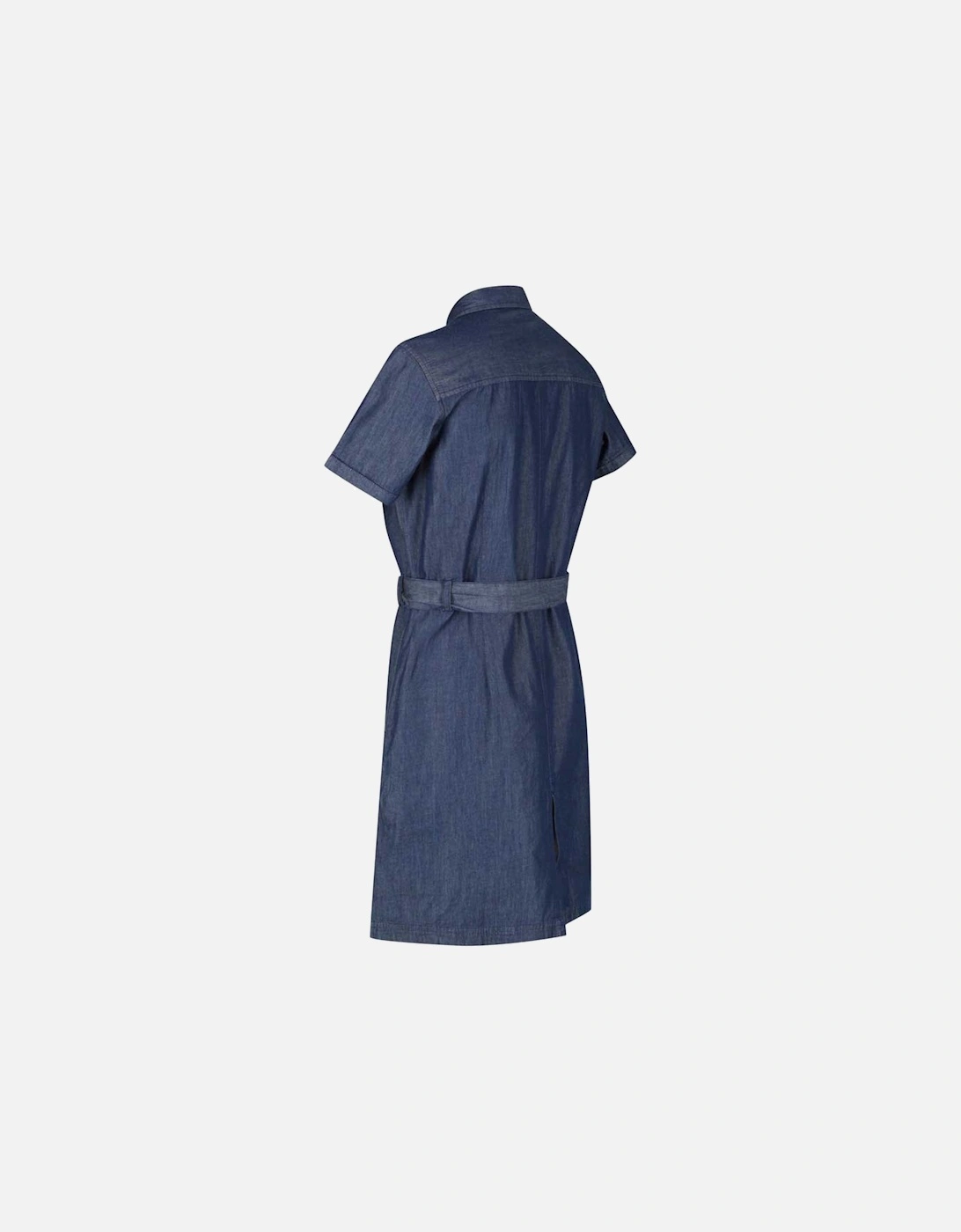 Womens/Ladies Quinta Shirt Dress