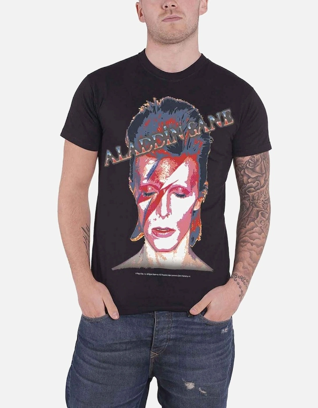 Unisex Adult Aladdin Sane T-Shirt, 4 of 3