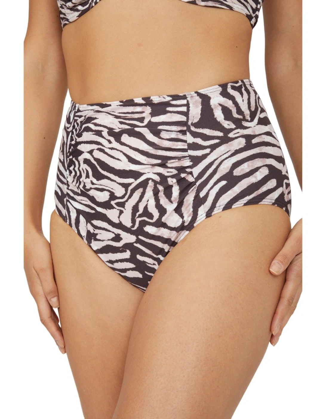 Womens/Ladies Zebra Print High Waist Bikini Bottoms, 5 of 4
