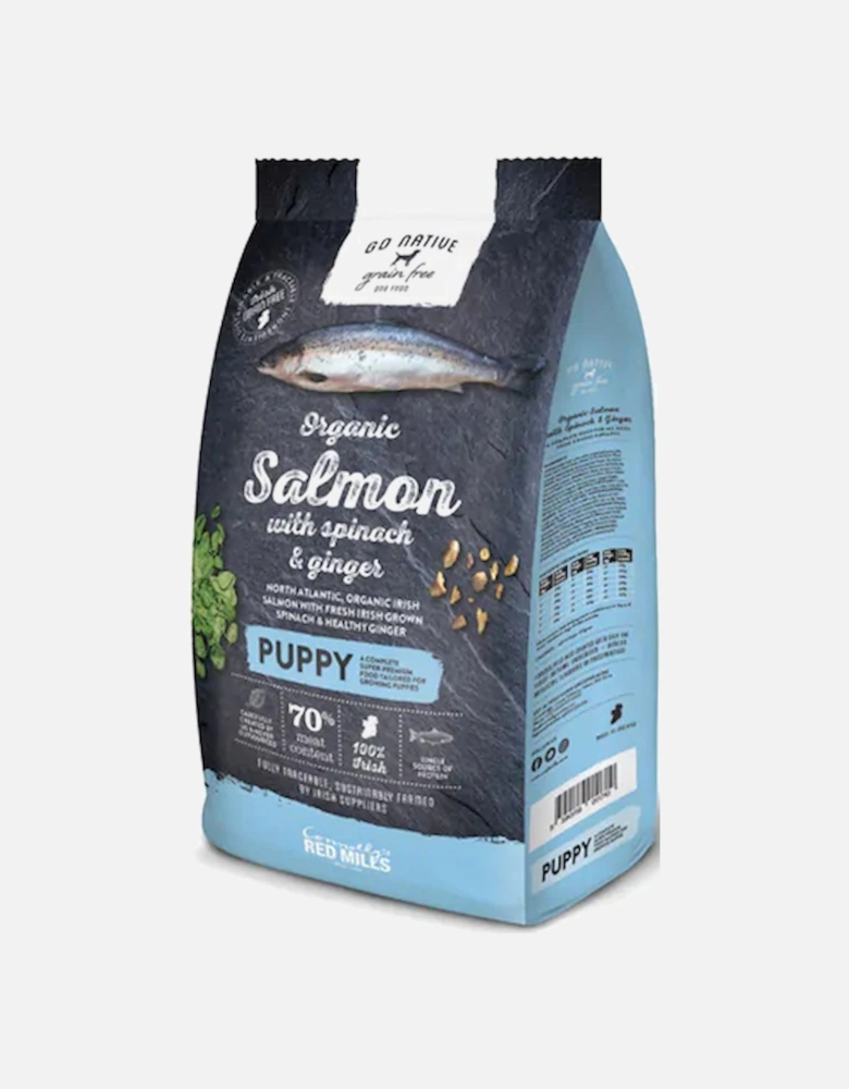 Puppy Dry Food Salmon With Spinach & Ginger 4KG