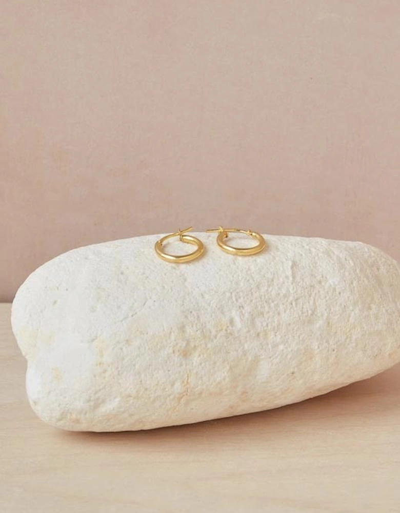 Hoop Earrings 10mm Gold Plated