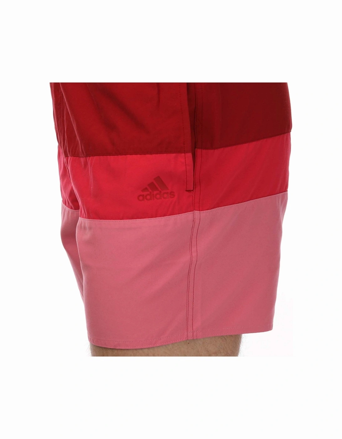 Mens Colorblock Swim Shorts