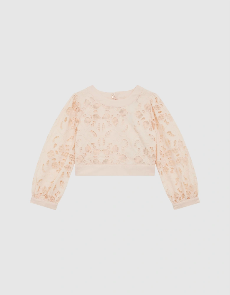 Long Sleeve Lace Cropped Top