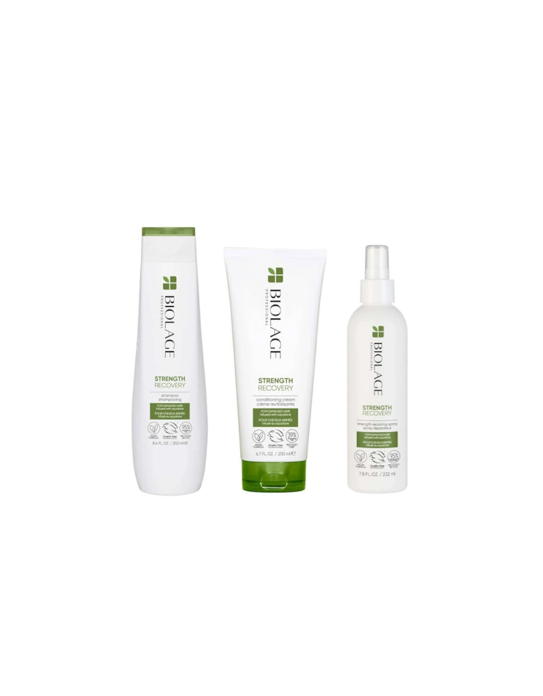 Professional Strength Recovery Vegan Cleansing Shampoo, Conditioner and Leave-in Spray Routine for Damaged Hair