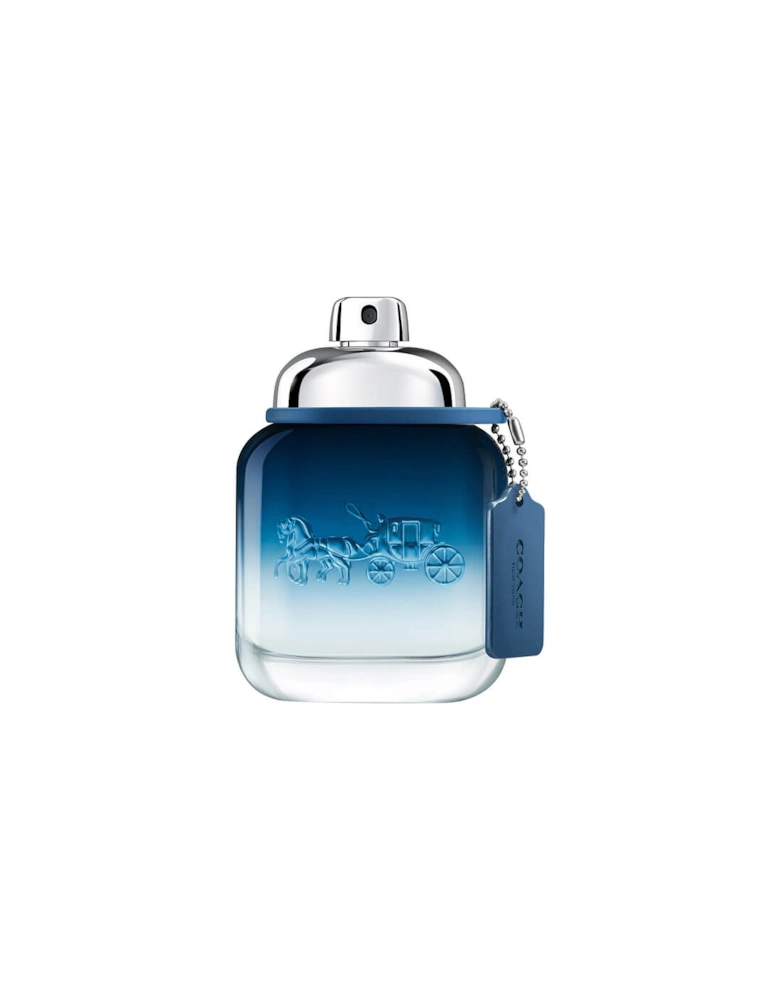 Men's Blue Eau de Toilette 40ml