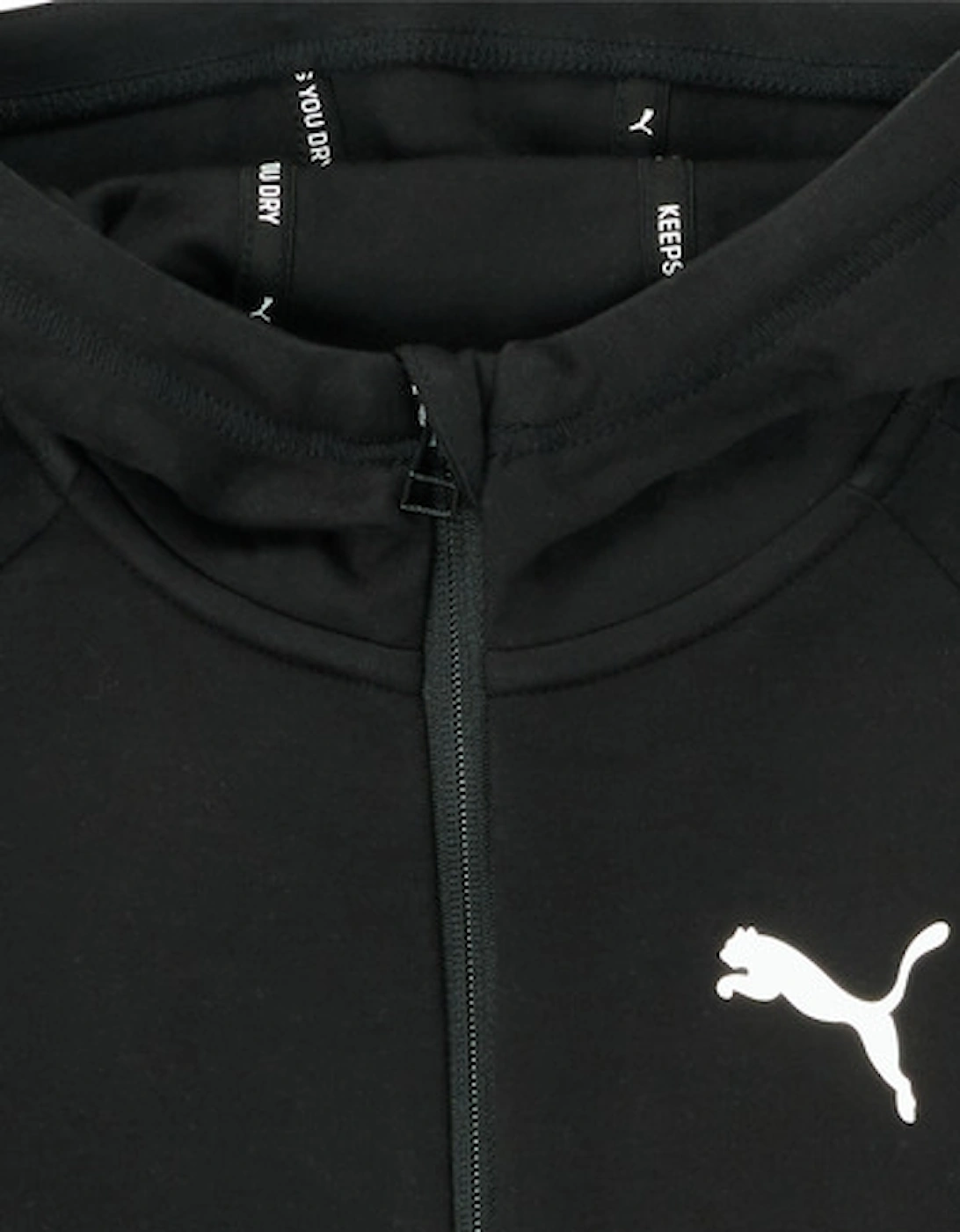 EVOSTRIPE CORE FZ HOODIE