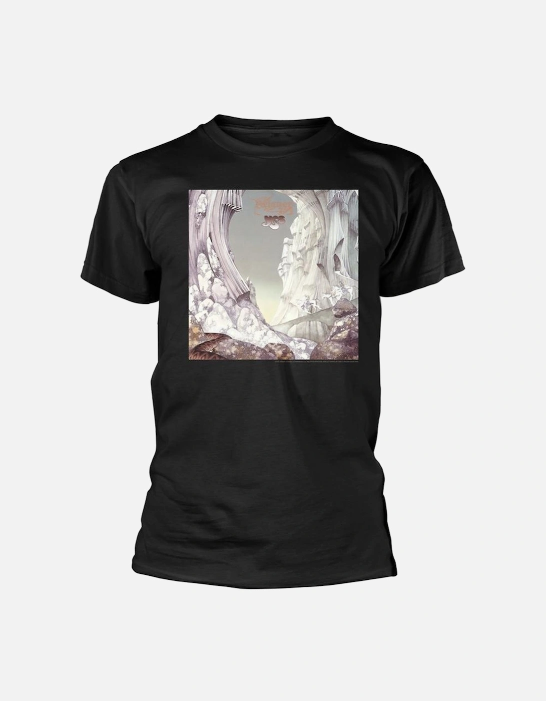 Unisex Adult Relayer T-Shirt, 2 of 1