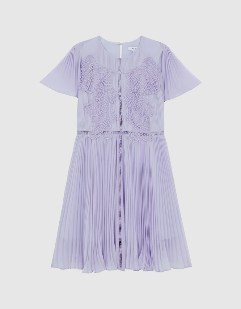 Lace Embroidered Pleated Dress