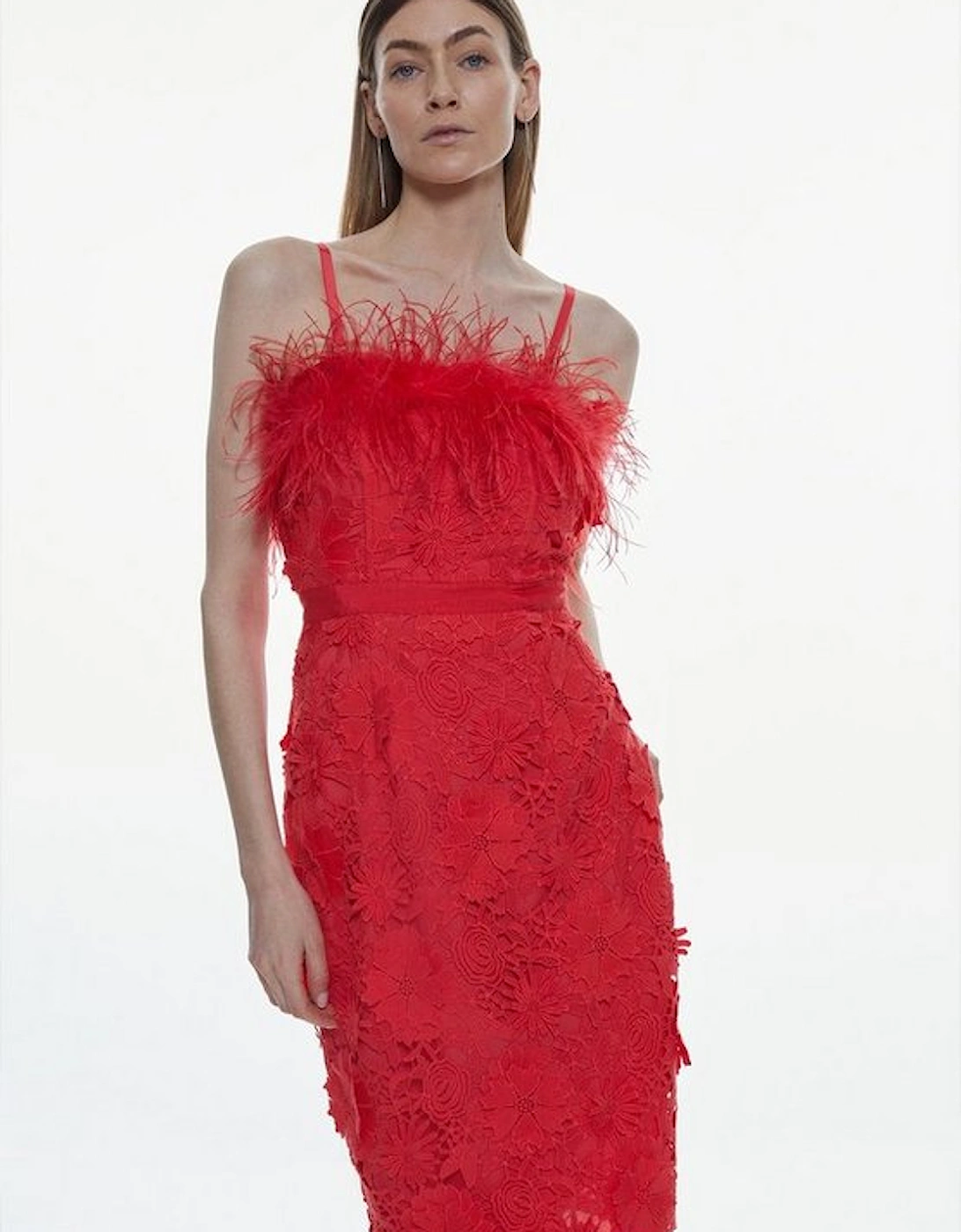 Lace Feather Bardot Woven Midi Dress, 5 of 4